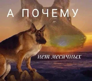 Sticker from алга