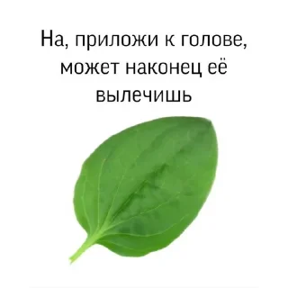 🍉 emoji Татарлар Алга @mongolhub Telegram sticker 24 of 55