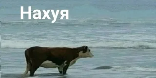 тупые СТИКЕРЫ sticker 2