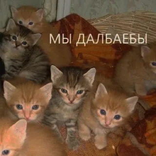 Sticker from пошел нахуй