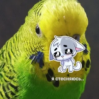 🌟 emoji лютый Иннокентий Telegram sticker 14 of 52