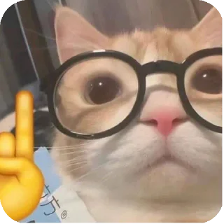 Sticker from Стас квадробер ебучий