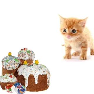 Sticker from Стас квадробер ебучий