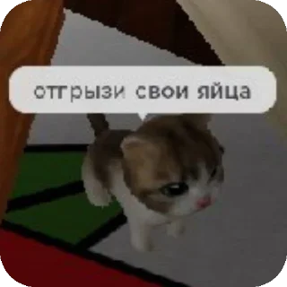 Sticker from Стас квадробер ебучий