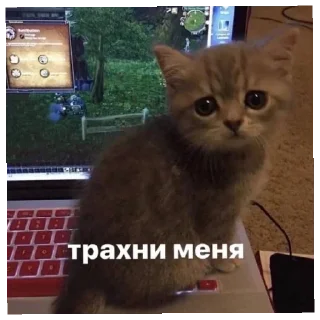 Sticker from пошел нахуй