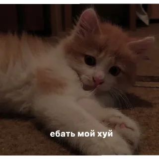 Sticker from пошел нахуй