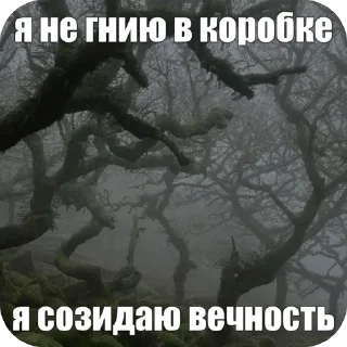 🫥 emoji картинки природы Telegram sticker 15 of 90