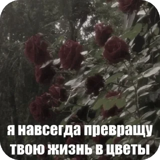 🫥 emoji картинки природы Telegram sticker 21 of 90