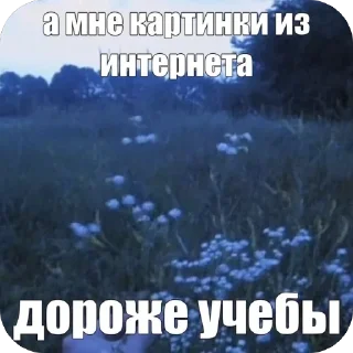 🫥 emoji картинки природы Telegram sticker 24 of 90