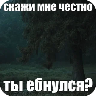 🫥 emoji картинки природы Telegram sticker 20 of 90