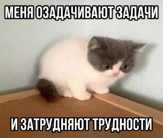 Sticker from Злые котята