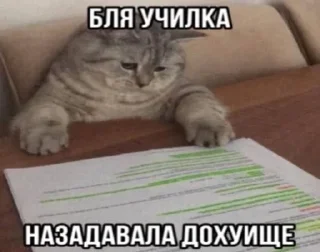 Sticker from Злые котята