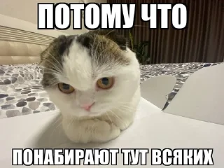 Sticker from МИША БУДУЩЕЕ ЛИЦО ВСЕЛЕННОЙ
