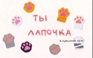 全案耳 sticker 4