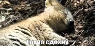 ❤️‍🔥 emoji аммм. by @lnvhhx Telegram sticker 2 of 106