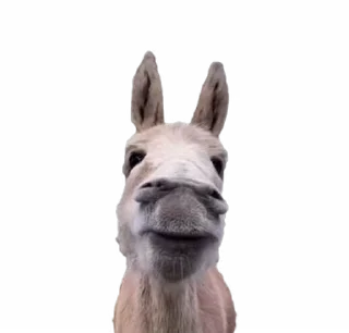 🤩 emoji funny tiktok @iamideas Telegram sticker 11 of 53
