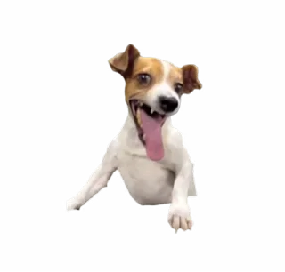 🤩 emoji funny tiktok @iamideas Telegram sticker 14 of 53