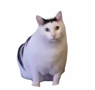 🤩 emoji funny tiktok @iamideas Telegram sticker 15 of 53