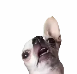 🤩 emoji funny tiktok @iamideas Telegram sticker 5 of 53