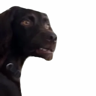 🤩 emoji funny tiktok @iamideas Telegram sticker 16 of 53
