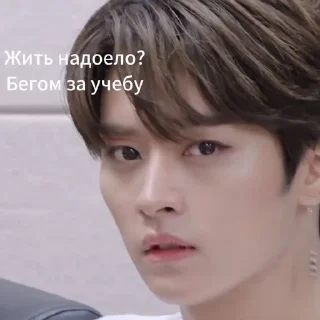 Sticker from LeeMinhos