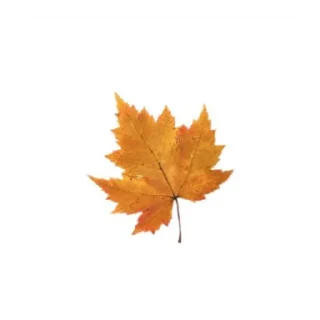 Sticker from byler in autumn