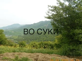 Sticker from ехеххехехе