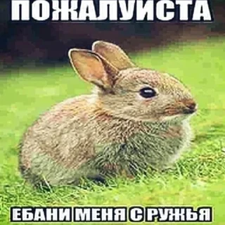 Sticker from Соник+прикл