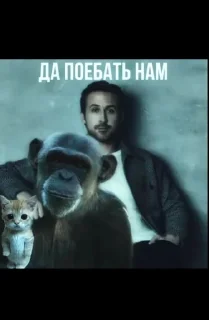 Sticker from Да поебать