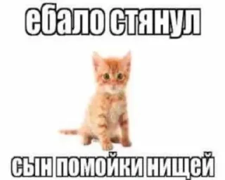🌟 emoji эм,а (+_+) Telegram sticker 13 of 23