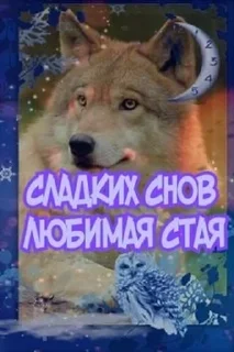 🐺 emoji VOLK Telegram sticker 15 of 120