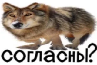 Sticker from Ауфе