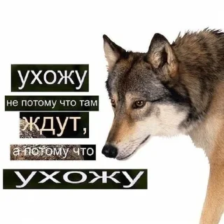 Sticker from AufVolk
