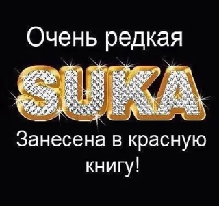 🌟 emoji Уебина блядская Telegram sticker 9 of 120