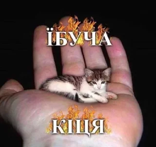 🌟 emoji Уебина блядская Telegram sticker 12 of 120