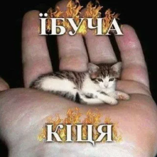 😾 emoji Favorite stickers Telegram sticker 24 of 87
