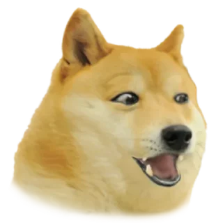 Sticker from Doge