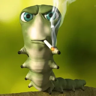 🚬 emoji Бычьи яйца Telegram sticker 23 of 59