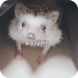 Sticker from my mood