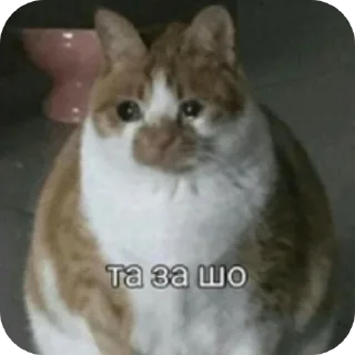 Sticker from my mood