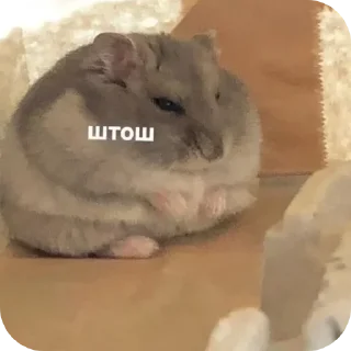 Sticker from my mood