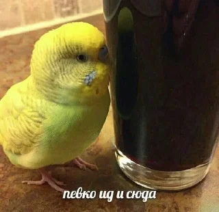 Sticker from я люблю людей