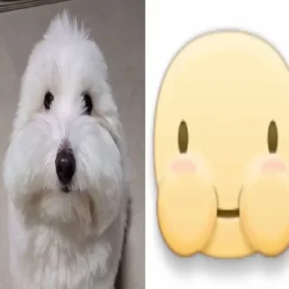 🌟 emoji animals Telegram sticker 11 of 20