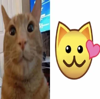 🌟 emoji animals Telegram sticker 17 of 20