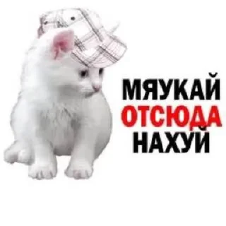 😡 emoji джа Telegram sticker 9 of 19