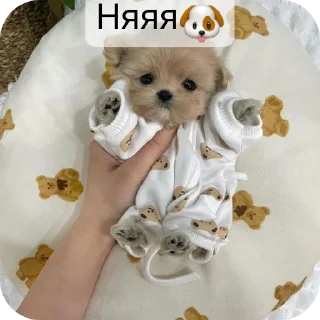 🐻 emoji @Lolabomre1111111 Telegram sticker 21 of 22