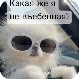 😍 emoji @Lolabomre1111111 Telegram sticker 20 of 22