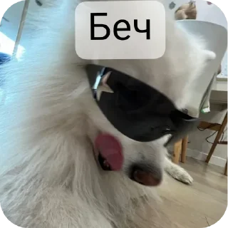 Sticker from @Lolabomre1111111