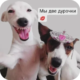 👍 emoji @Lolabomre1111111 Telegram sticker 17 of 22