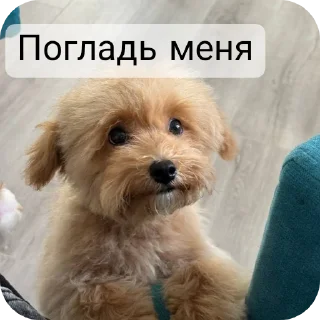 ☹ emoji @Lolabomre1111111 Telegram sticker 13 of 22